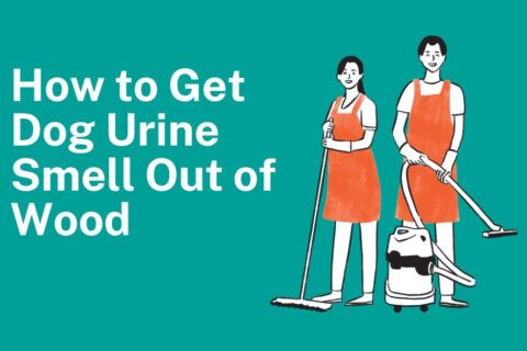 How to Get Dog Urine Smell Out of Wood?