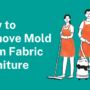 How to Remove Mold from Fabric Furniture